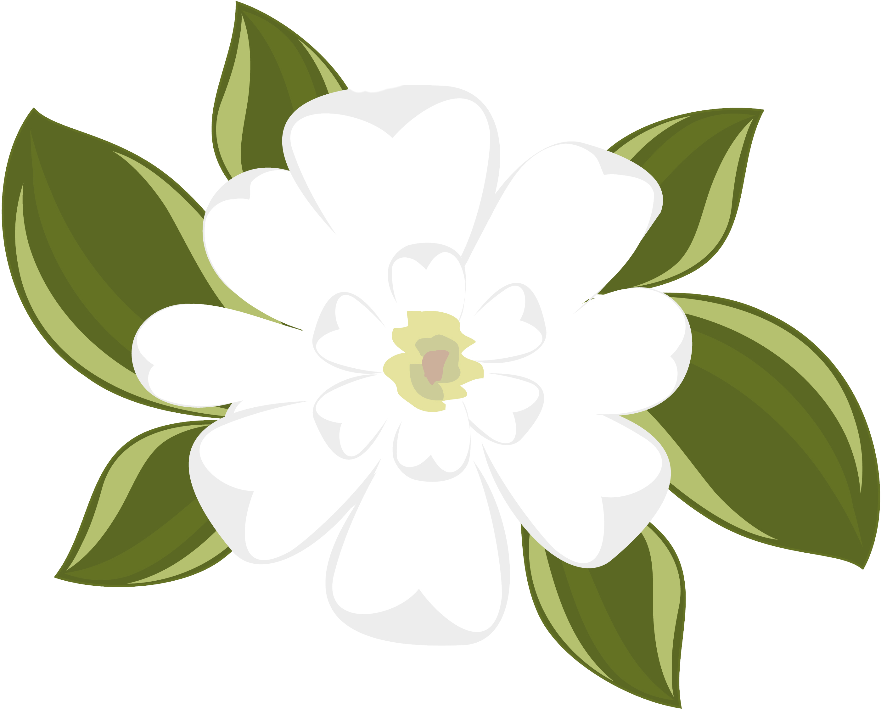 Charming Magnolia Clip Art Medium Size - Magnolia Flower Clip Art (2800x2254)