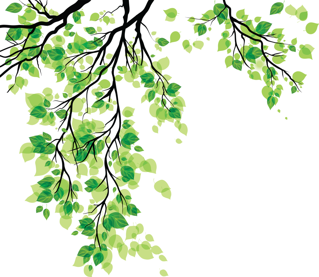 Leaf Clip Art - Leaf Clip Art (1280x1109)