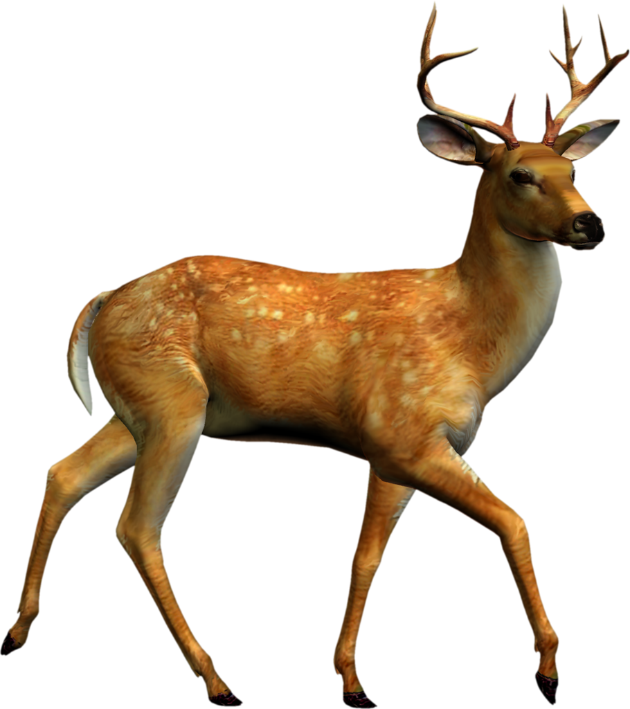 Яндекс - Фотки - Deer Png (910x1024)