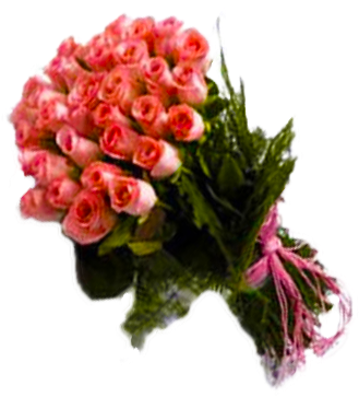 Blushing Pink Roses Bunch - Bounch Of Rose Transparent (428x428)