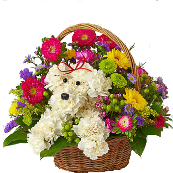 Birthday Flowers Bouquet Png Transparent Image - A-dog-able In A Basket - Flowers (600x600)