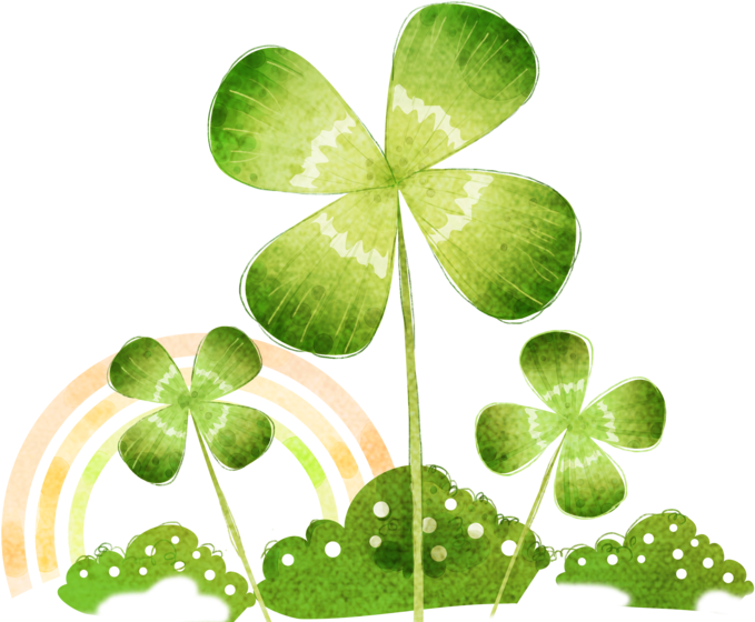 Oxalis Acetosella Four-leaf Clover - Four-leaf Clover (740x572)