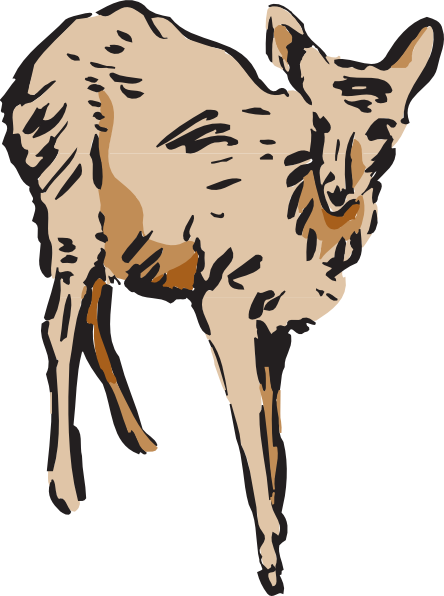 Walking Deer Cliparts - Deer (444x596)