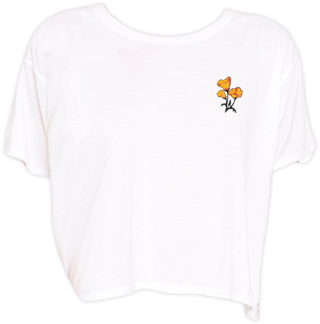 Poppy Cropped T-shirt - Honeybee (930x930)