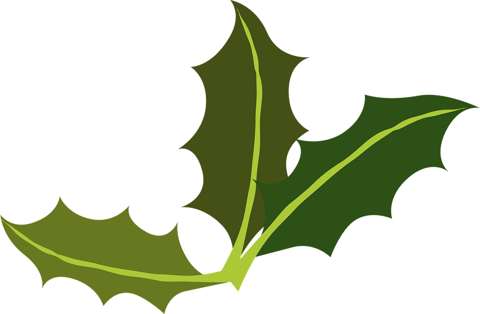 Curry Leaves Cliparts 18, Buy Clip Art - Multi Colored Christmas Balls Holly Copy Ornament (round) (960x628)