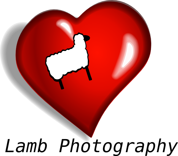 Photo Clip Art At Clker - Heart (600x527)