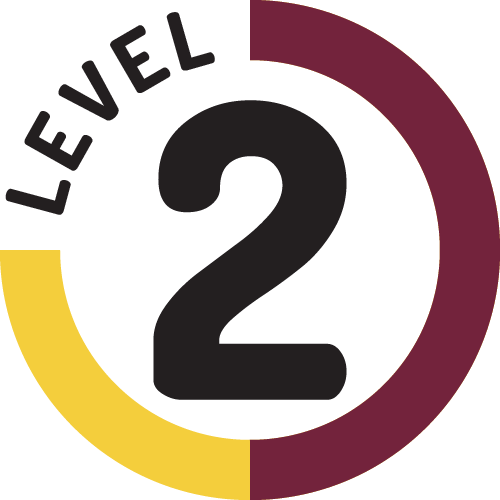 Level 2 Support - Level 2 Button Png (500x500)
