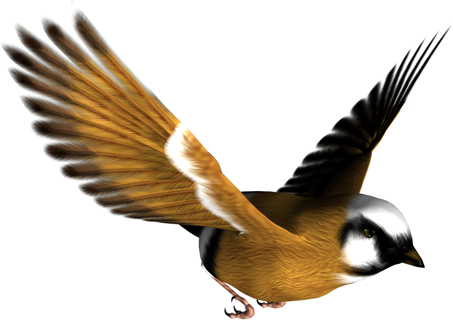 Free High Resolution Graphics And - Bird Png (1600x1600)