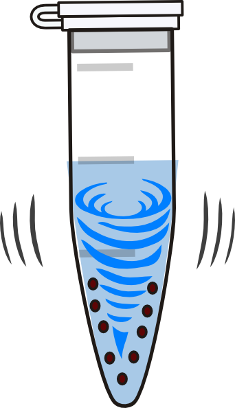 Eppendorf Vortex Tube Clip Art - Eppendorf Tube Vortex (342x594)