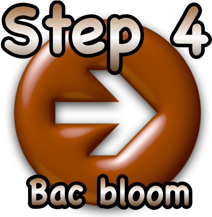 Step 4 Bac Bloom - Step 4 Clipart (423x423)