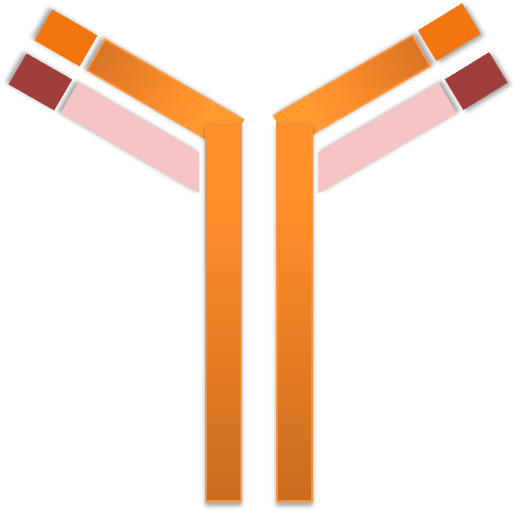 Antibody Clipart (536x532)