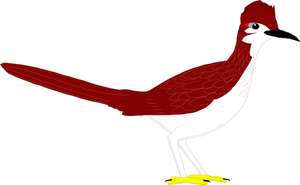 Roadrunner Clip Art - Road Runner Clip Art (600x370)