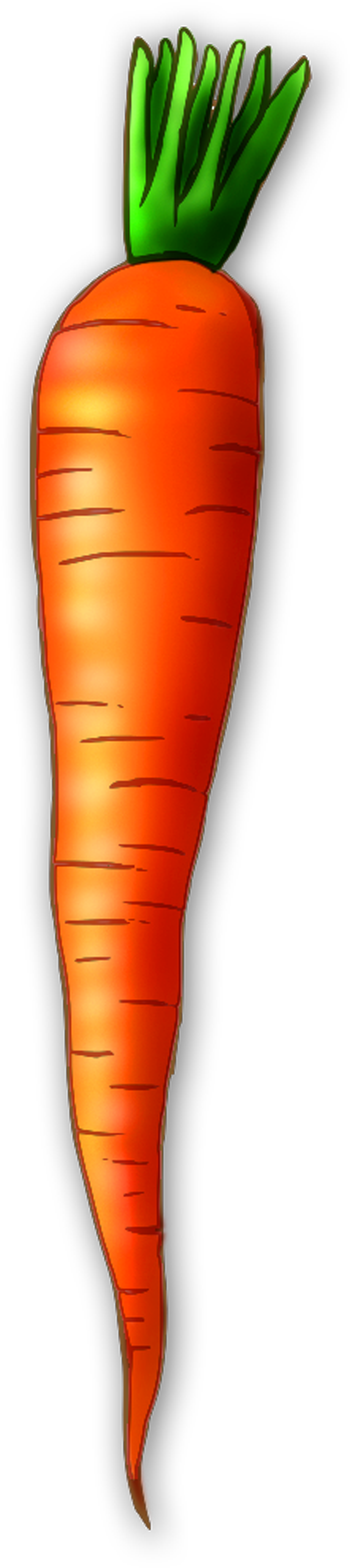 Top 88 Carrot Clip Art - Clip Art (1800x8047)