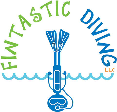 Fin-tastic Diving ~ Take The Dive - Fin-tastic Diving, Llc (500x479)