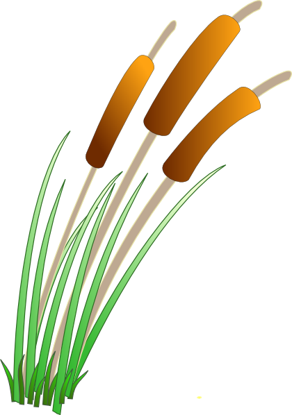 Reeds Clip Art - Reeds Clipart (420x598)