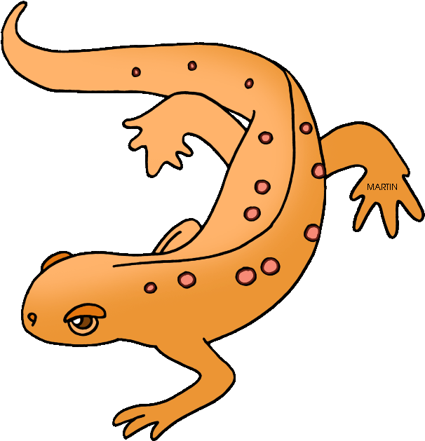 Clip Arts Related To - Newt Clipart (635x648)