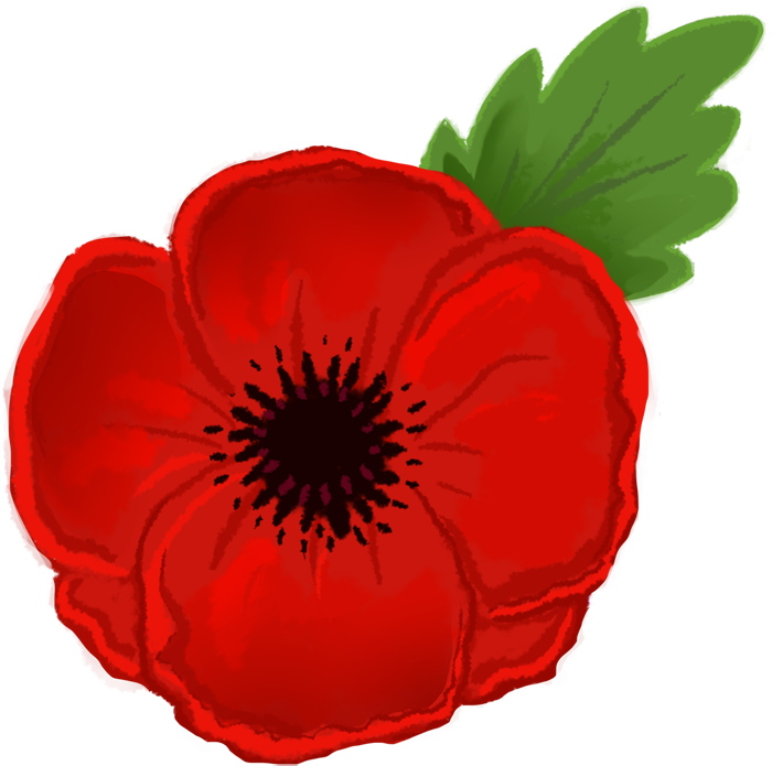 Poppy Clipart Transparent Background - Clipart Poppy (1000x1003)