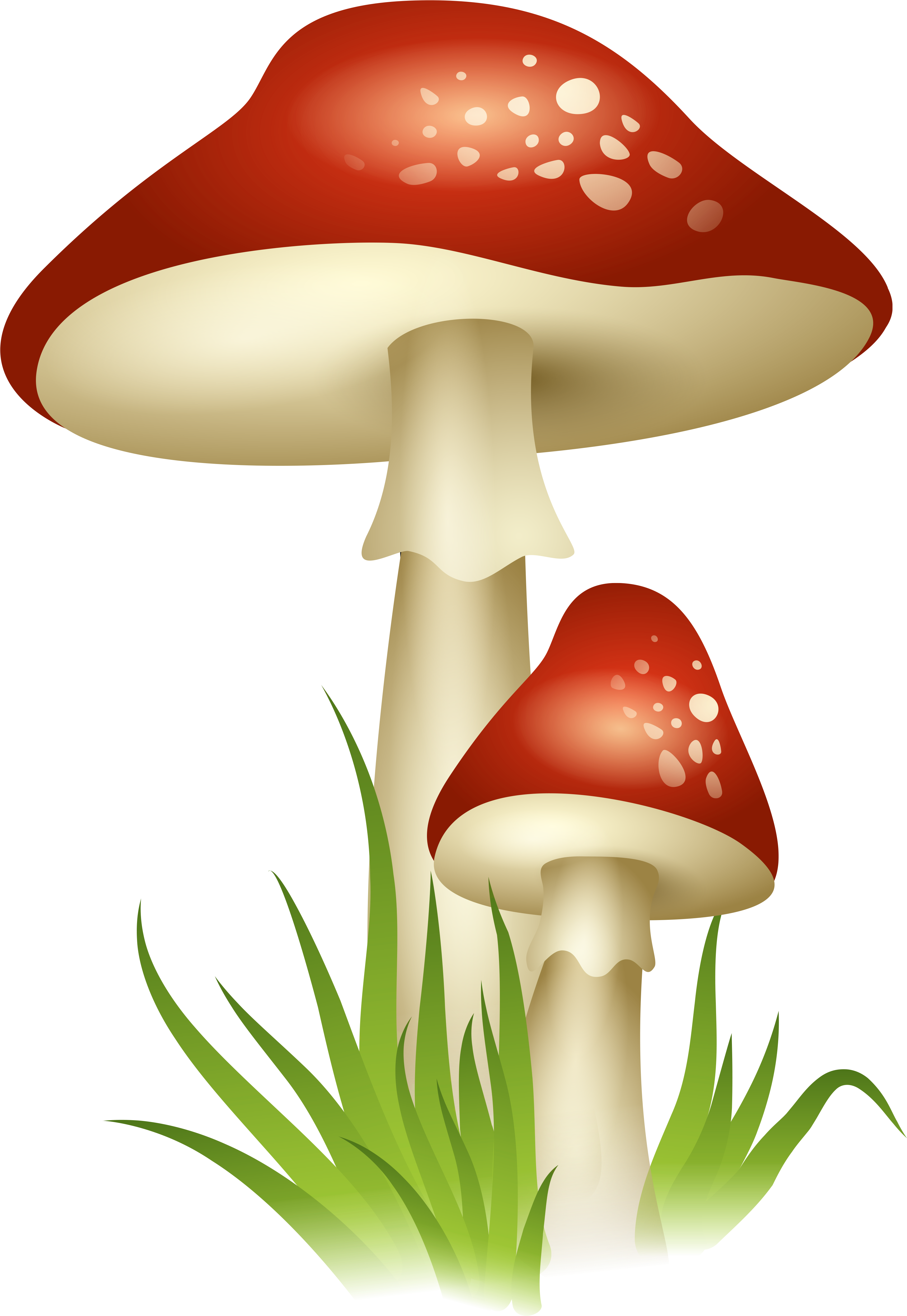 Mushroom Clipart Transparent - Mushroom Transparent Background (3599x5234)