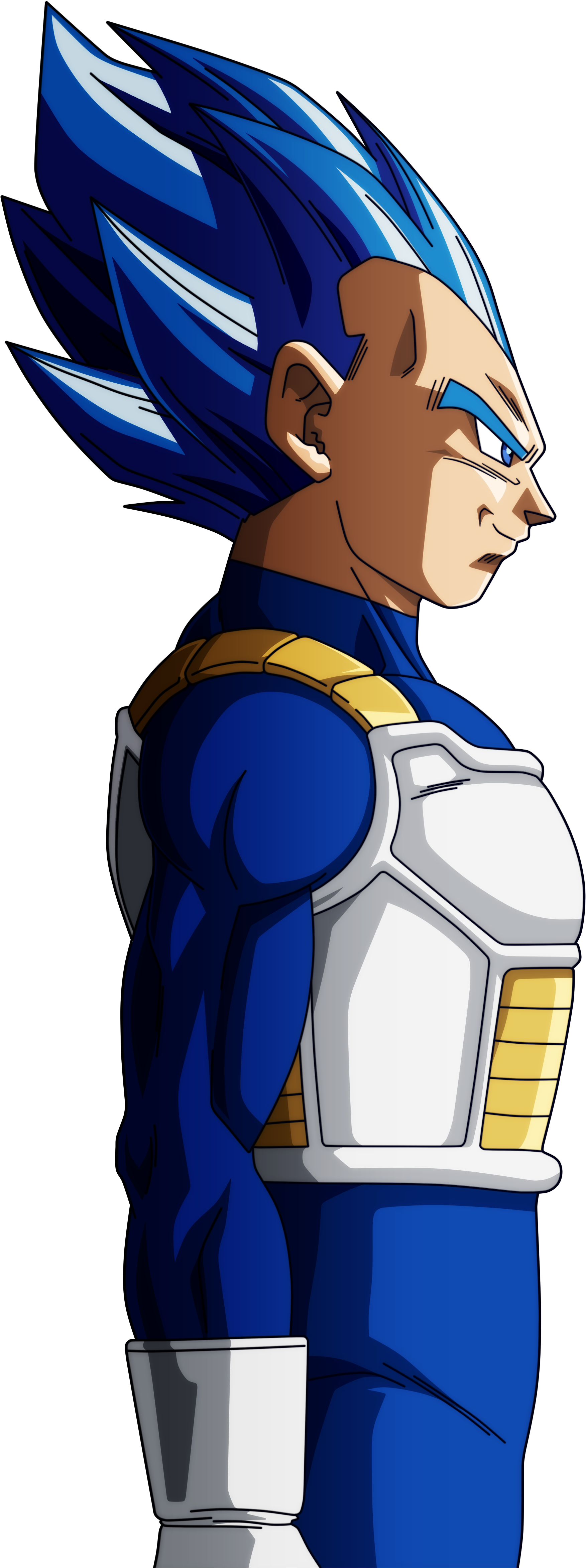 Dragon Ball Super - Dragon Ball Super Vegeta New Form (2000x4784)