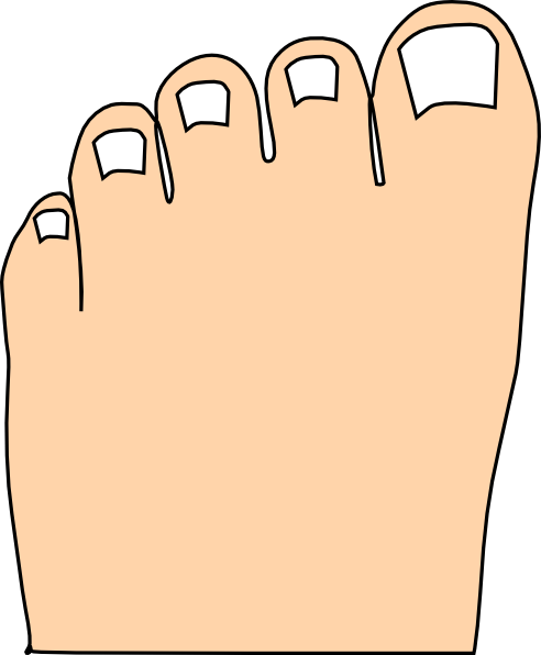 Cartoon Picture Of Toes (492x596)