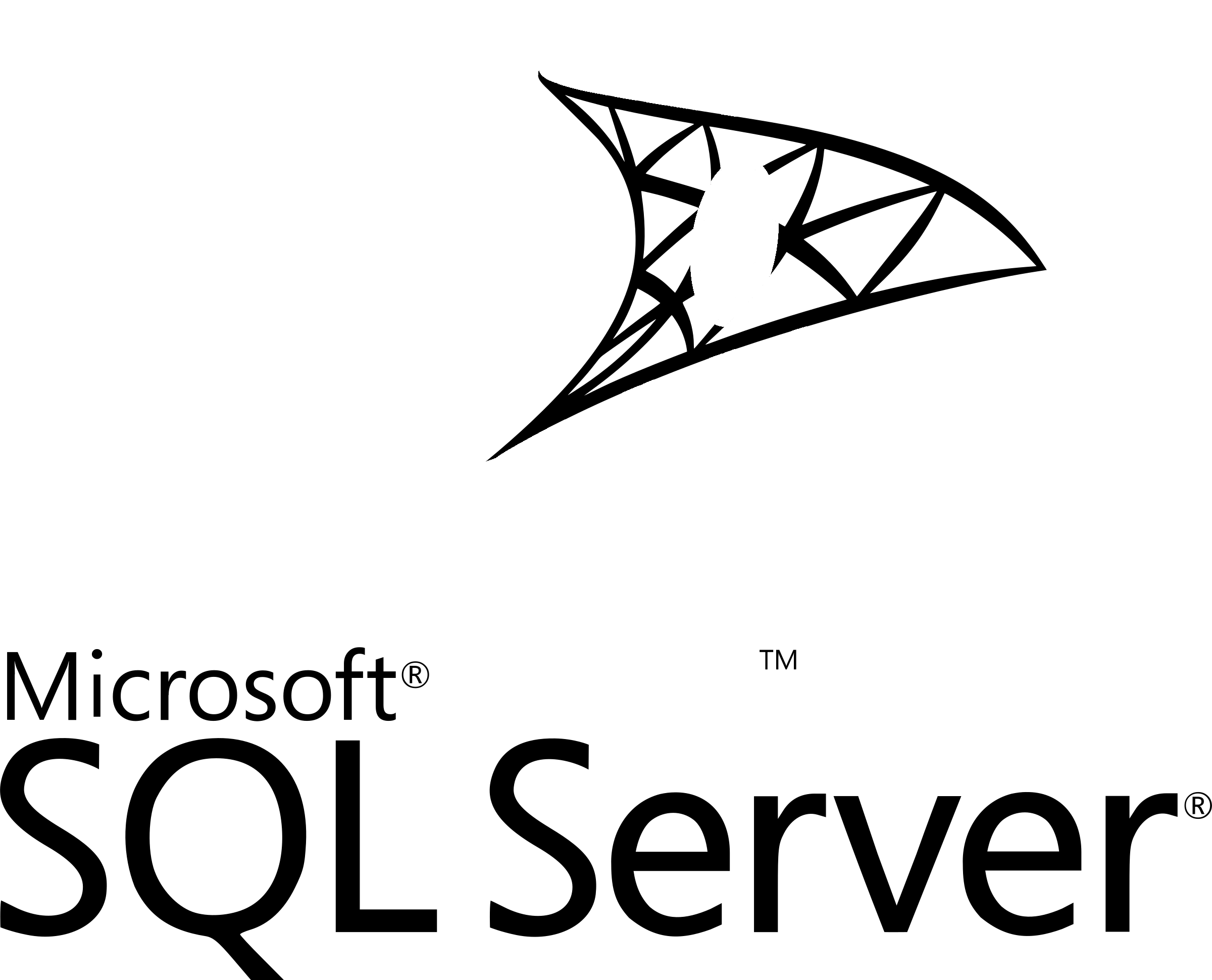 Microsoft Sql Server Logo Black And White - Sql Server 2008 R2 (2400x1940)