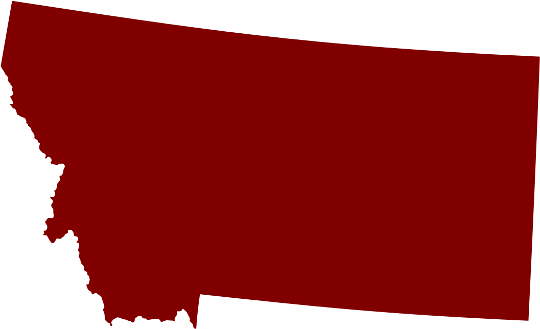 2010 House Elections Montana - Montana - Home State - Gray On White - Lantern Press (1282x764)
