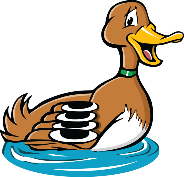 Duck1 - - Duck (624x600)
