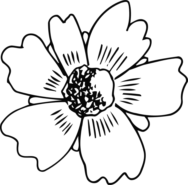 By Firkin - Portable Network Graphics (800x788)