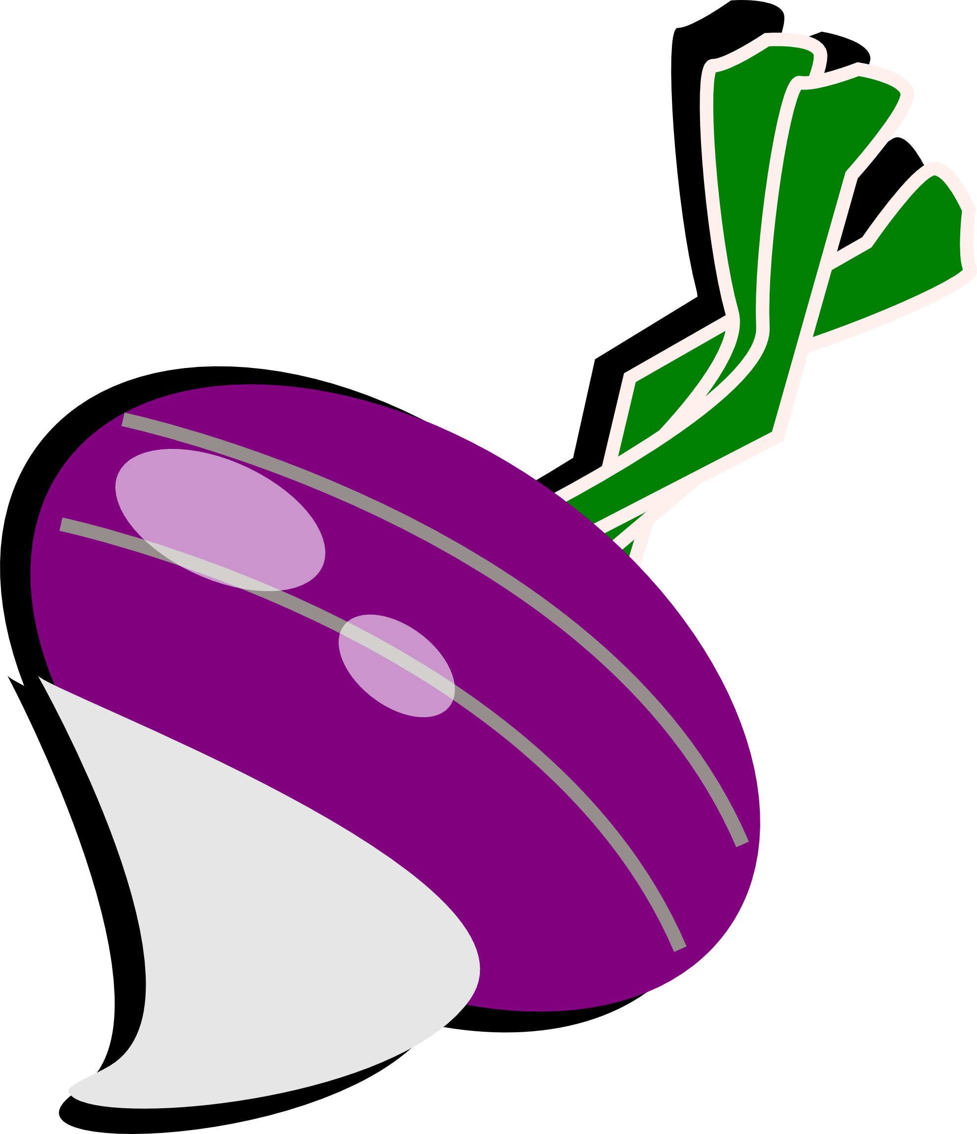 Turnip - Turnip Clipart (1979x2296)