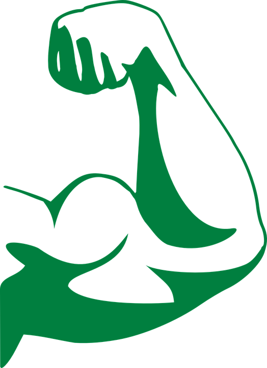 Strong Arm Muscle Muscles Bodybuilder Fitness - Strong Arm Png (524x720)