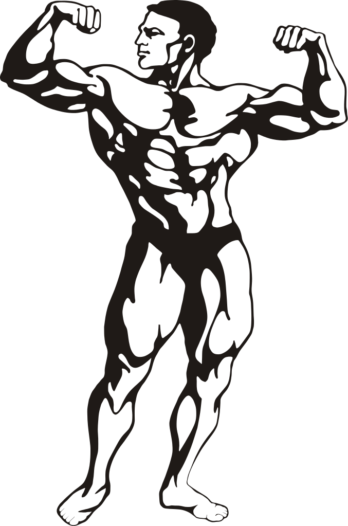 File - Btoteva Fitness - Svg - Bodybuilder Clipart (677x1023)