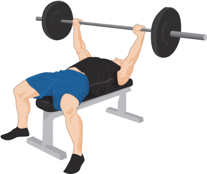 Exercise Bench Png Transparent Images - Bench Press Weights (429x365)