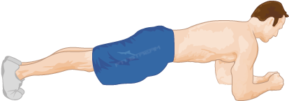 Plank Exercise Abs Clipart - Bodyweight Plank (436x295)