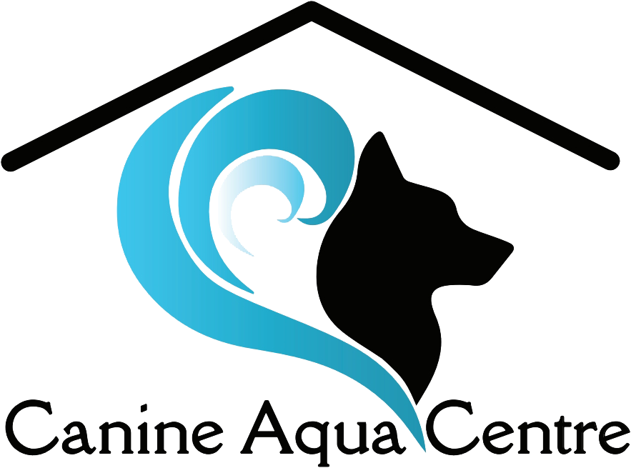 Cac Logo Sml Bg - Logo (908x688)