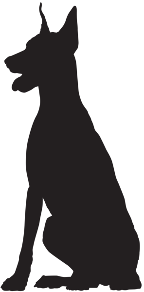 Doberman Silhouette Png Clip Art Image - Great Dane Sitting Silhouette (296x600)