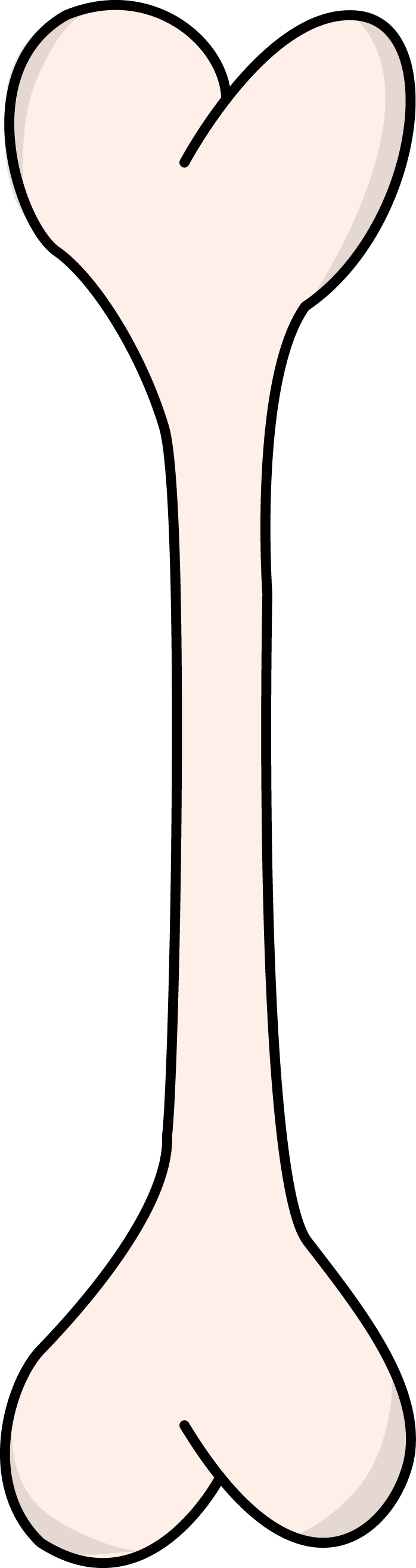 Image For Free Bone Health High Resolution Clip Art - Darkness (698x2630)