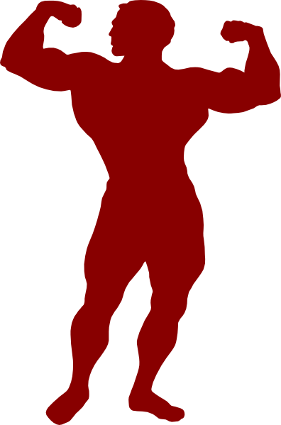 Muscle Clip Art - Training For Strength Vs Size (396x599)