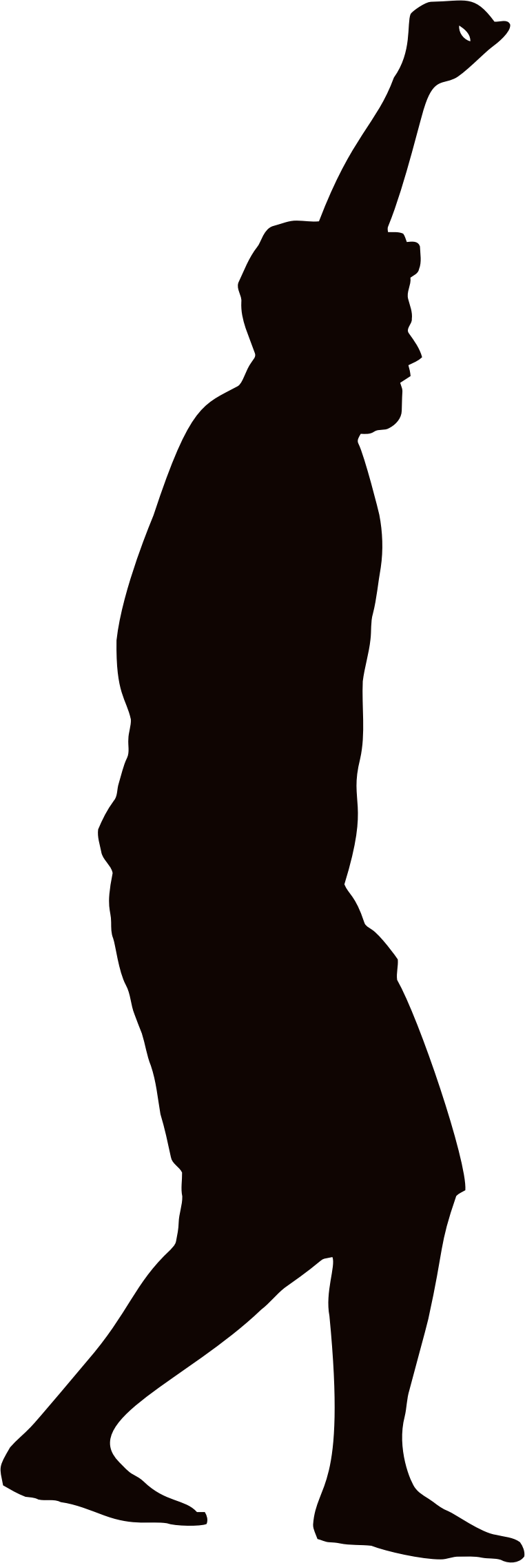 Tightrope Walker Silhouette - Tight Rope Walker Silhouette (762x2268)