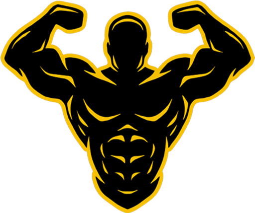 Gym Equipment - Gym (512x435)