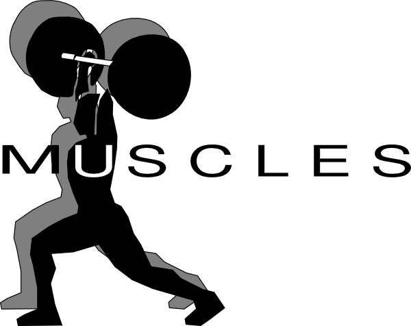 Weight Lifting Cartoon (600x476)
