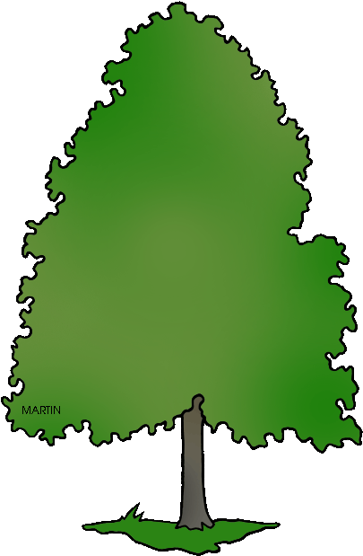 Delaware State Tree American Holly Clipart - Delaware State Tree (425x648)