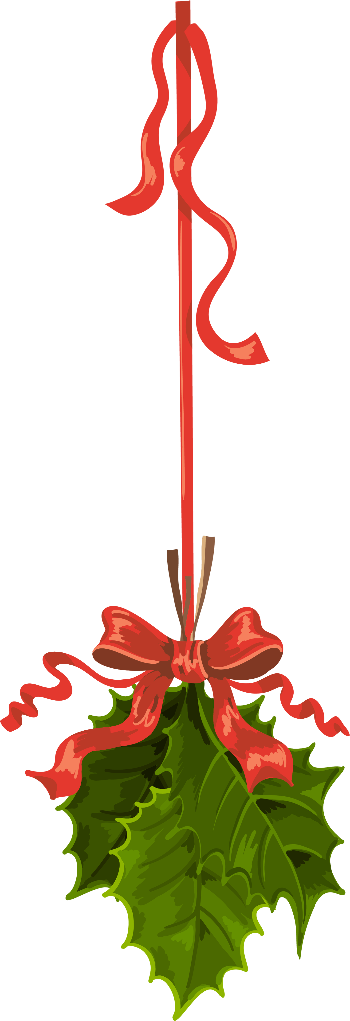 Transparent Christmas Hanging Mistletoe Png Clipart - Png Christmas Mistletoe (1670x4540)