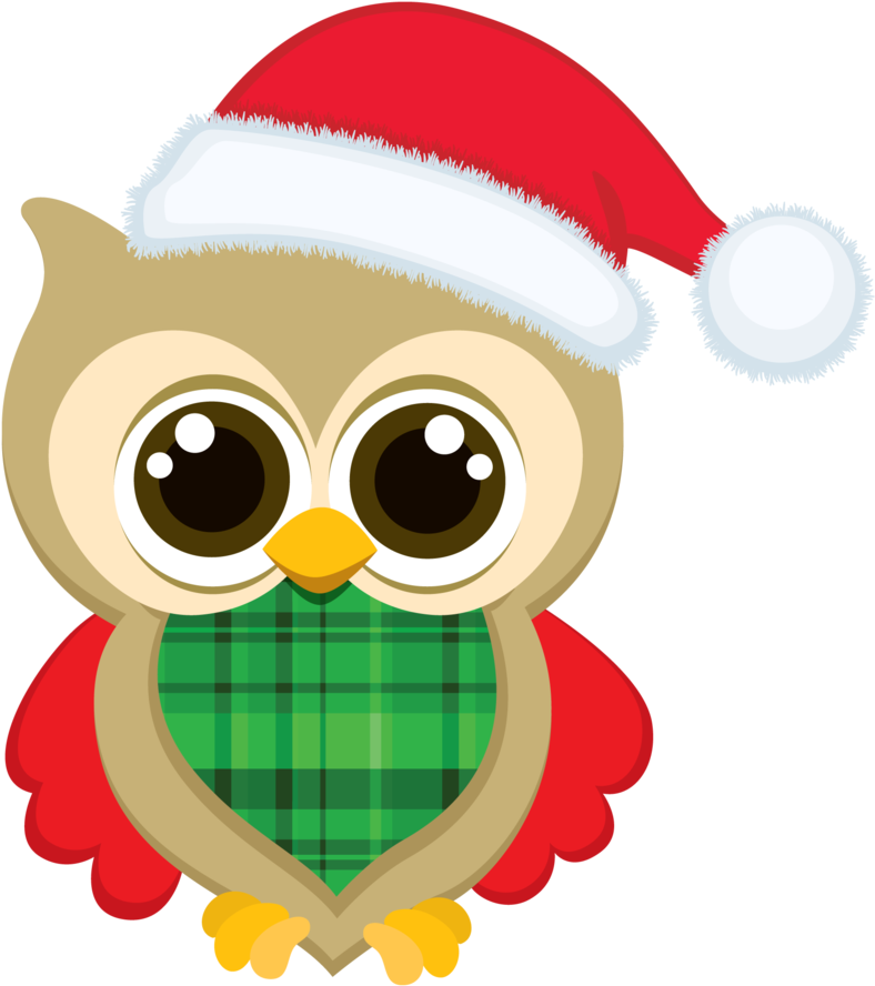 Images Of Owls Clipart - Cute Owl Christmas Clip Art (798x900)