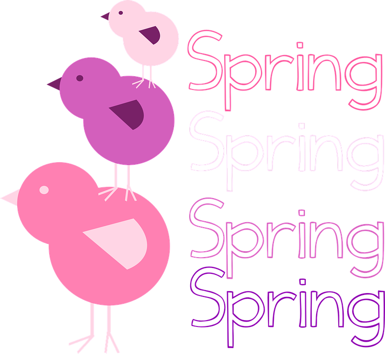 Images Of Owls Clipart 27, - Chicken (783x720)