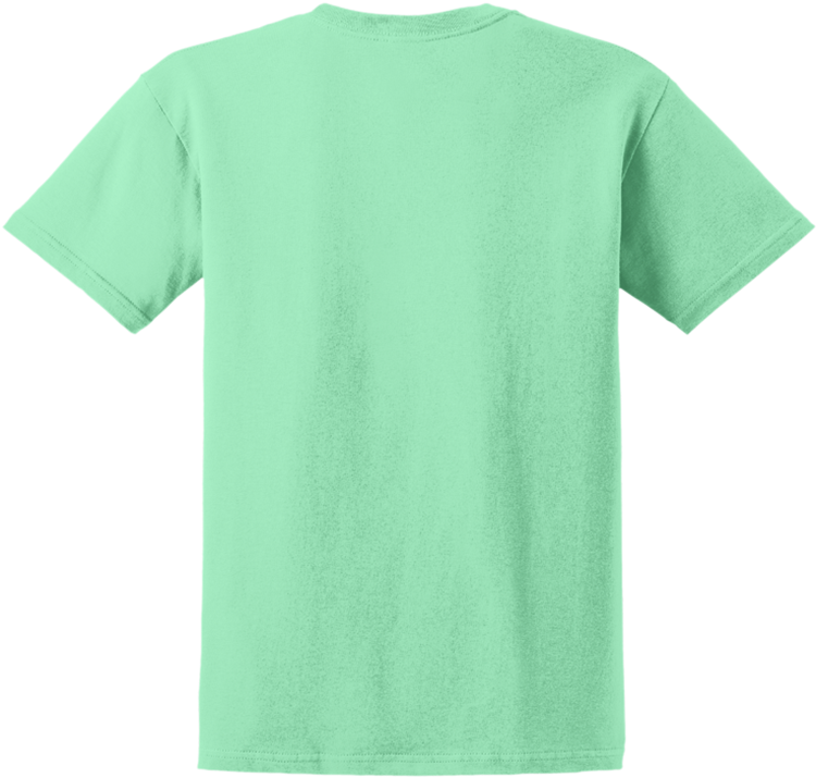Free Shirt Friday - Mint Green Gildan Shirt (750x750)