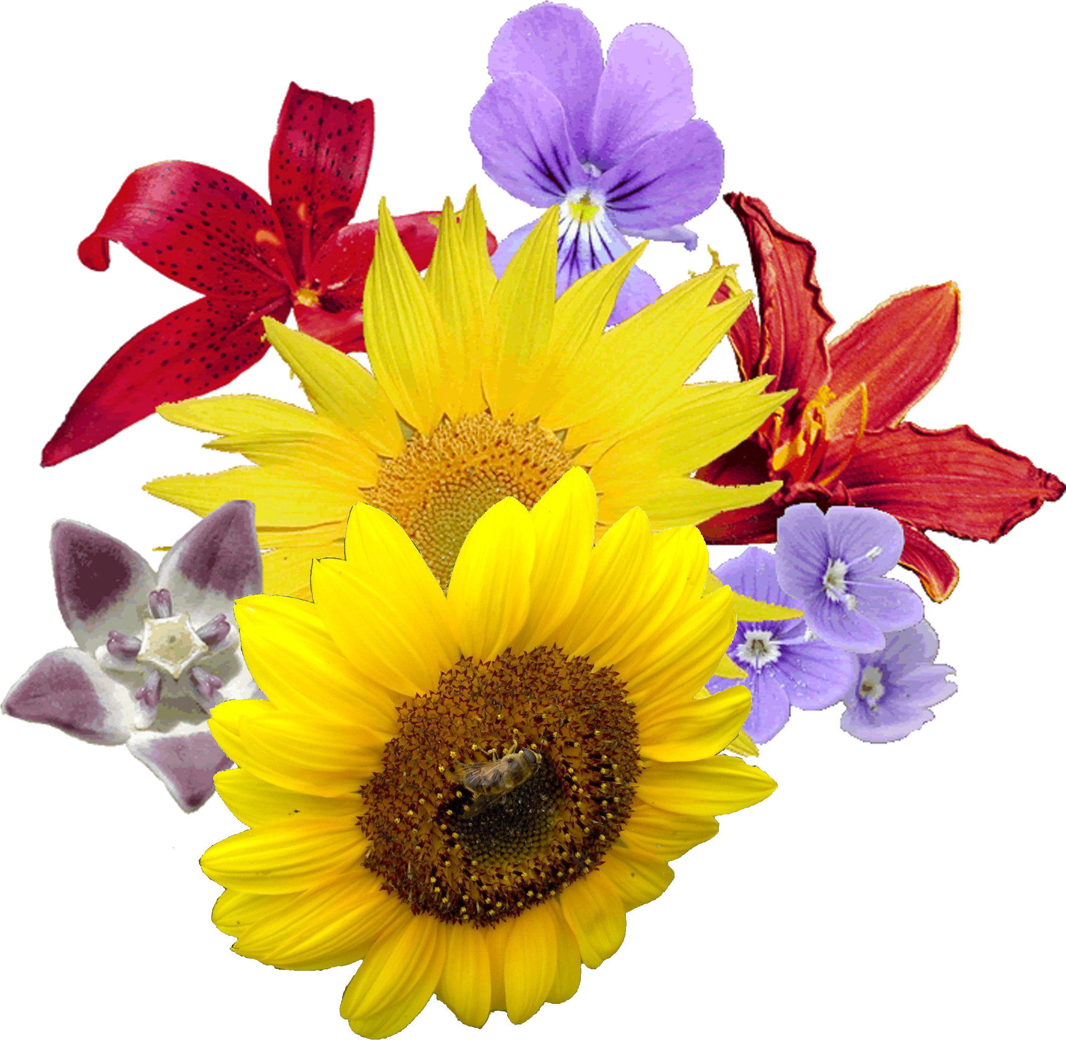 Bouquet - Mother's Day In Mexico (2124x2124)