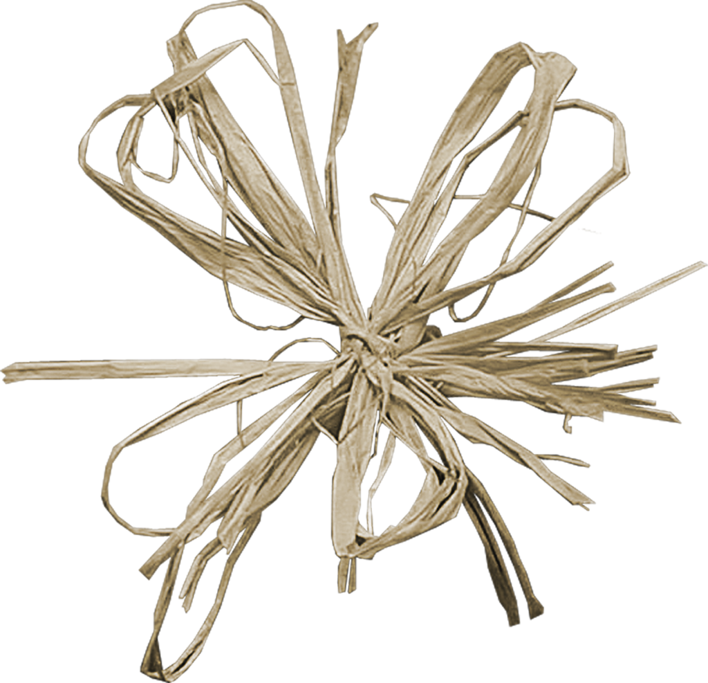 Raffia Bow Cliparts - Psp Tube Scraps (1024x987)