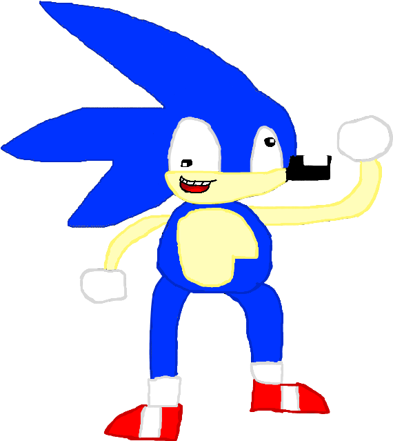 Sonic The Omgwhatthe****isthat-hog By Pingasthelawler - Sonic The Omgwhatthe****isthat-hog By Pingasthelawler (591x650)