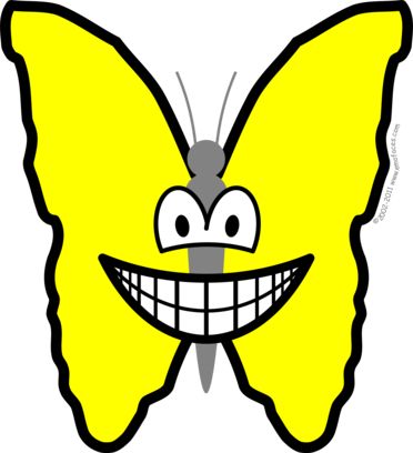 Butterfly Smile - Butterfly With A Smile (372x408)