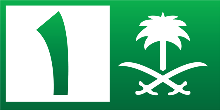 Live Hajj Tv 2014 - Saudi Ch For Quran (800x420)